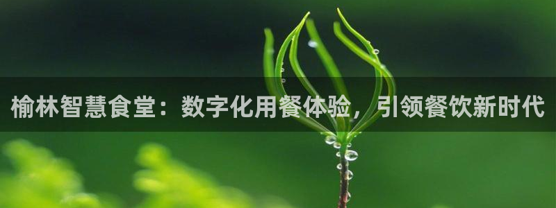 凯时APP官网首页：榆林智慧食堂：数字化用餐体验，引领餐饮新