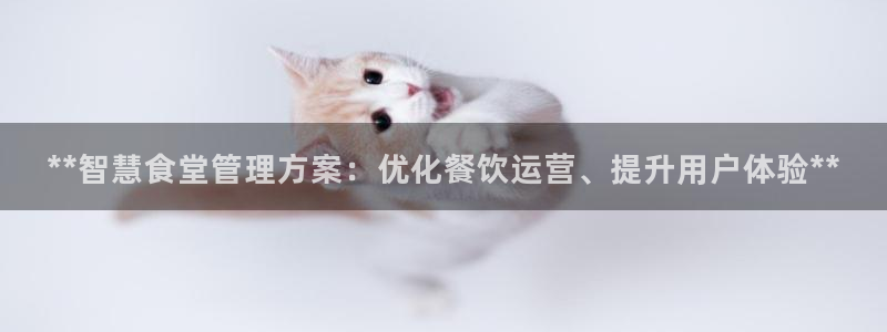 旧版尊龙人生就是博下载：**智慧食堂管理方案：优化餐饮运营、
